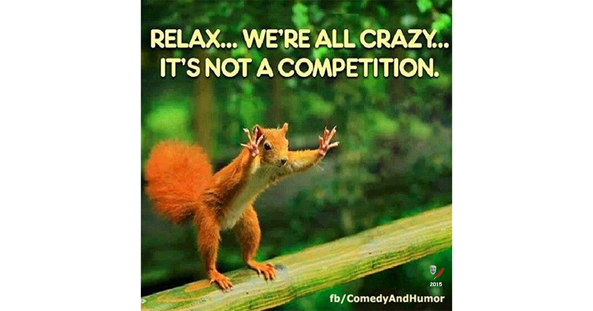 a squirrel says that craziness is not a competition