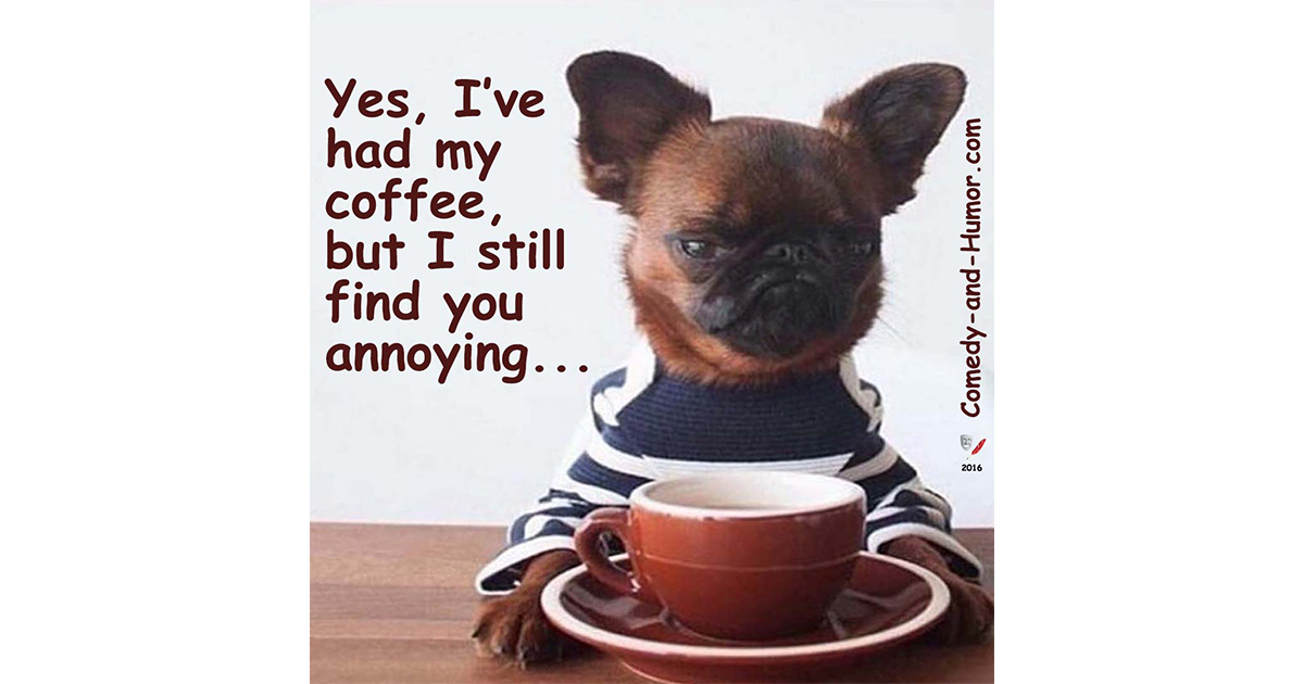 grumpy dog with coffee