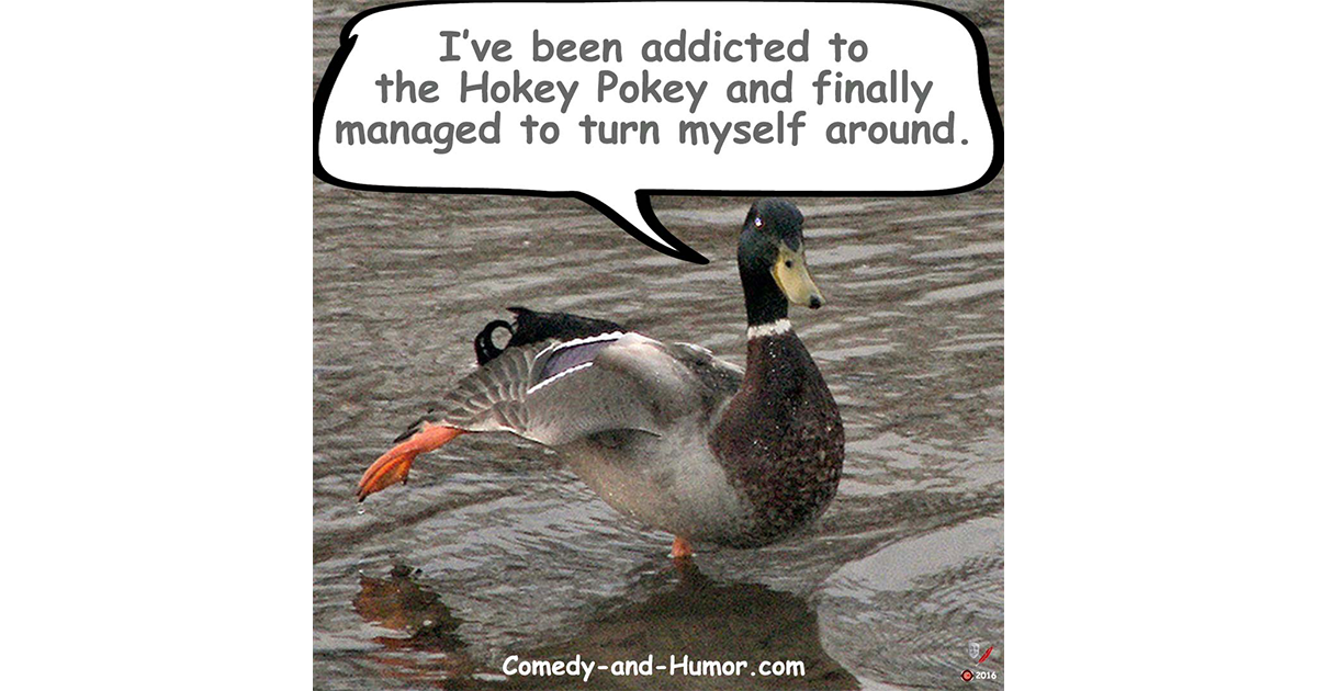 this duck seems to be the Hokey Pokey