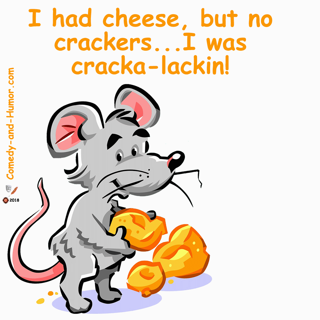 rat eating cheese