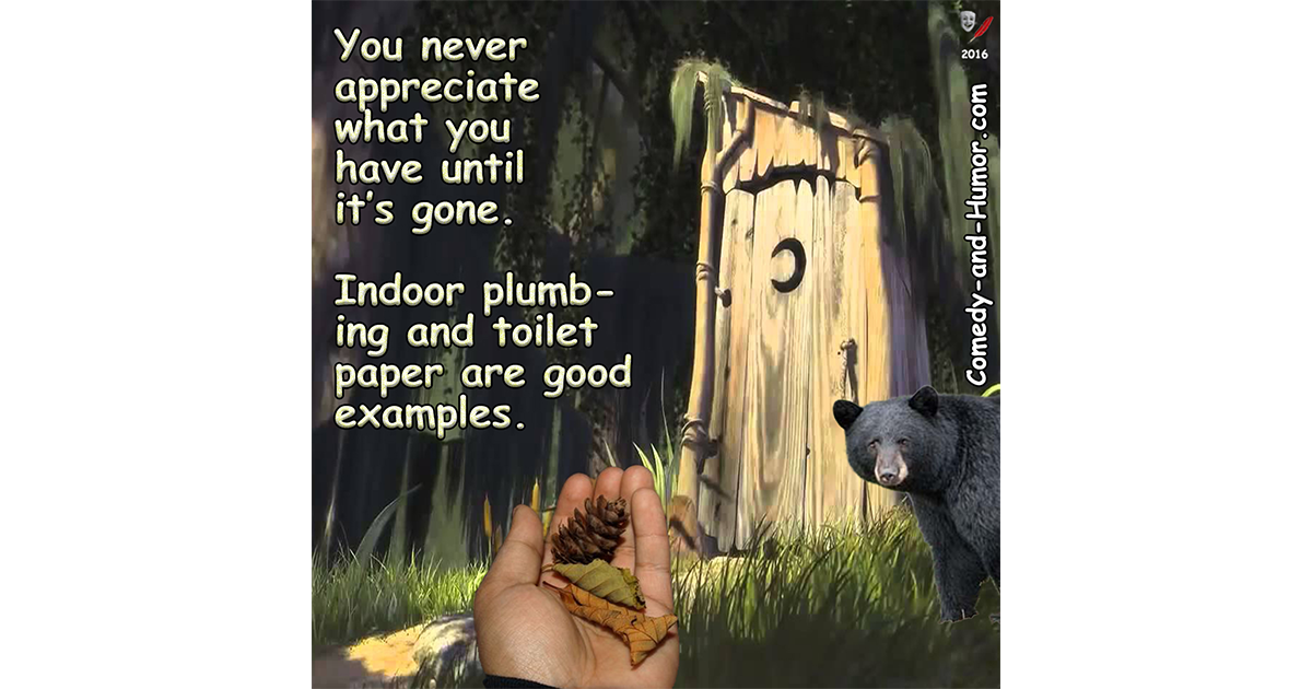 a bear in front of an outhouse