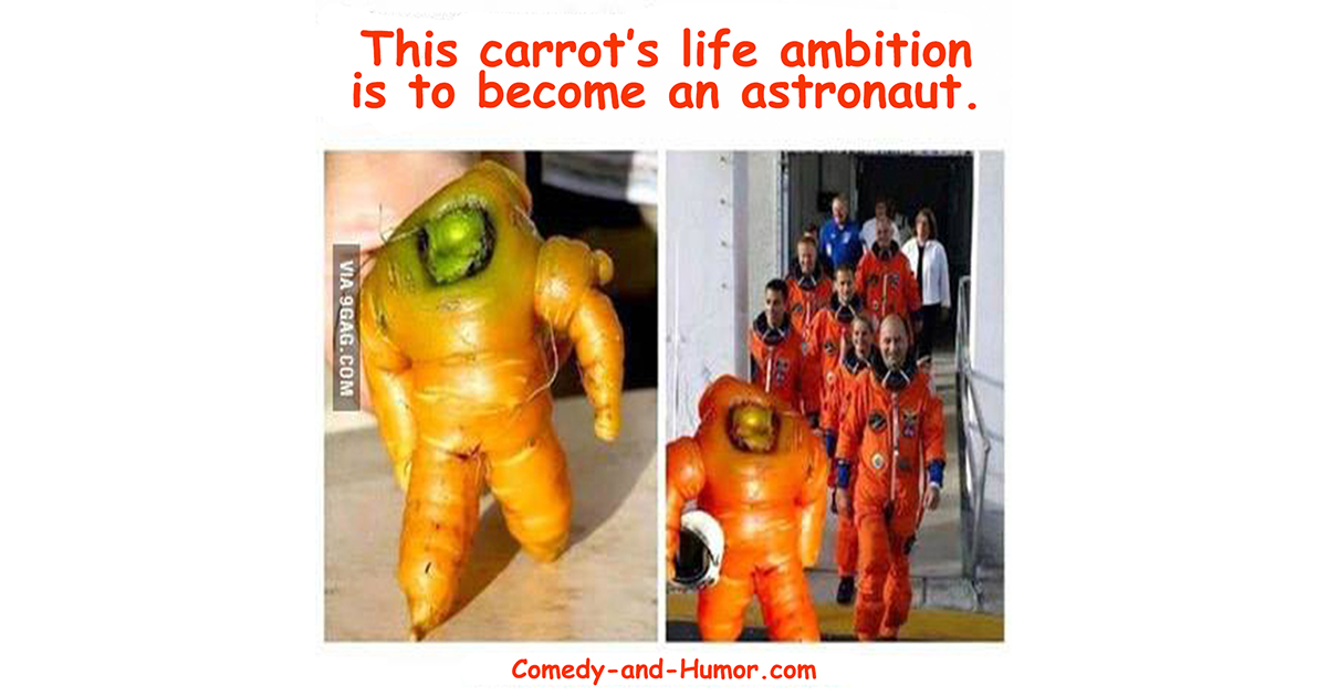 carrot and astronauts