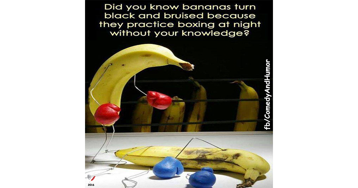 bananas boxing