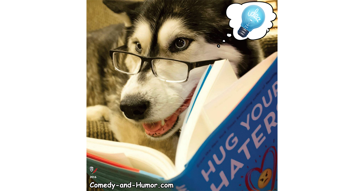 dog reading a book