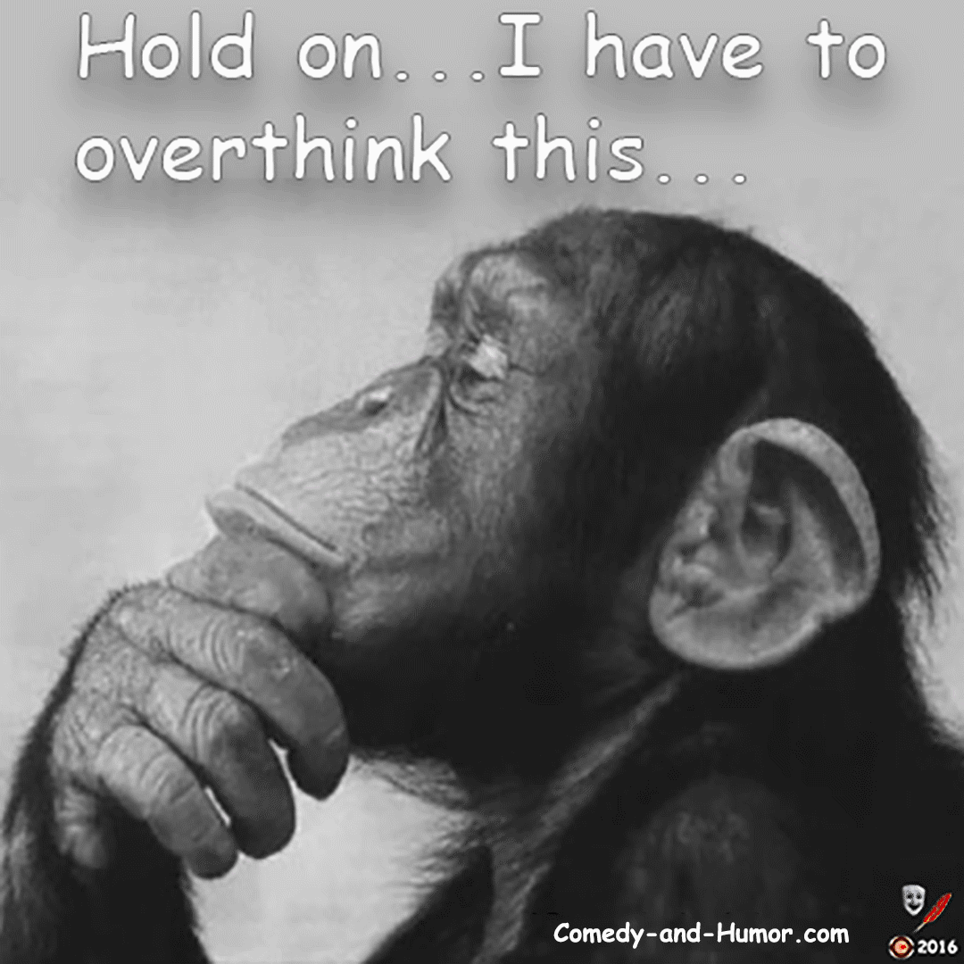 chimp thinking
